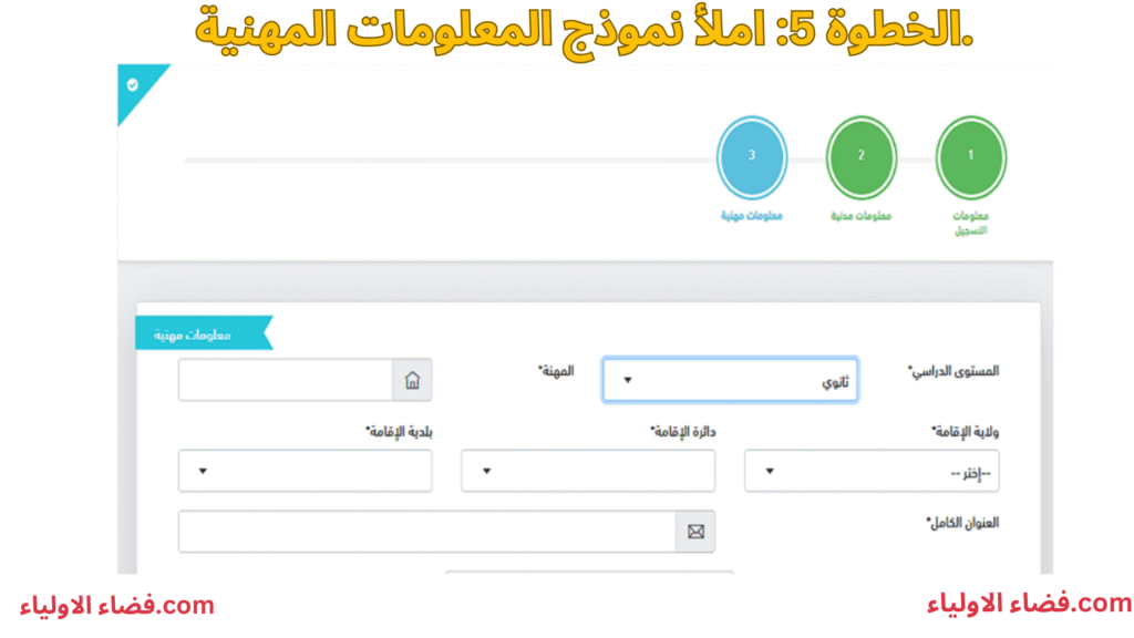 املأ نموذج المعلومات المهنية